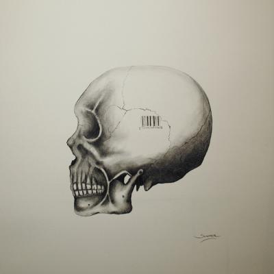 Skull 15 x 11 In Pencil on paper Sold